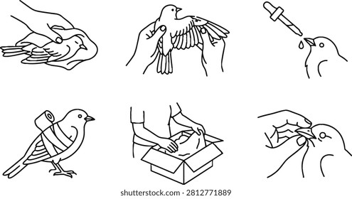 Set of 6 line art icons showing bird rescue, avian rehabilitation, and first aid care including feeding and bandaging an injured bird.