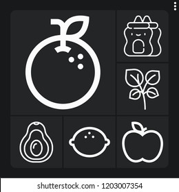 Set of 6 macro outline icons such as oregano, avocado, orange, apple, ketchup