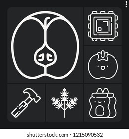 Set of 6 macro outline icons such as hammer, apple, dill, tomato, chip
