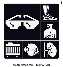 Set of 6 medical filled icons such as esophagus, eye, adrenal gland, ankle, glasses