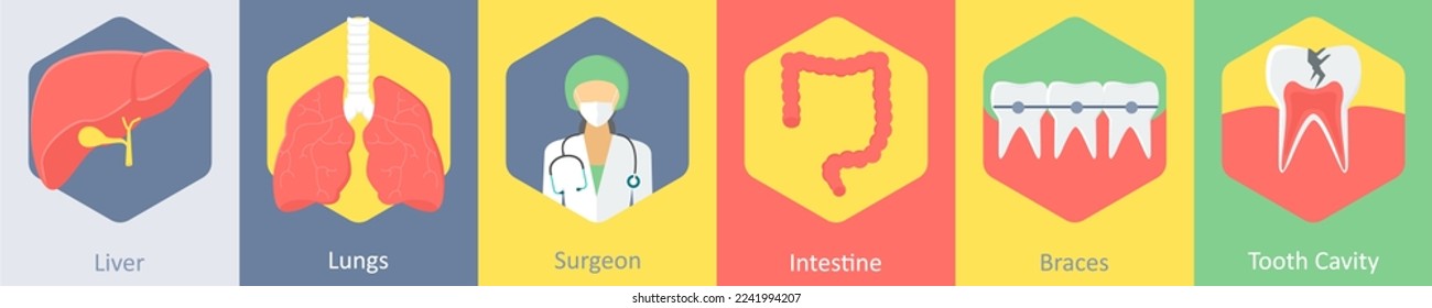 A set of 6 medical icons as liver, lungs, surgeon