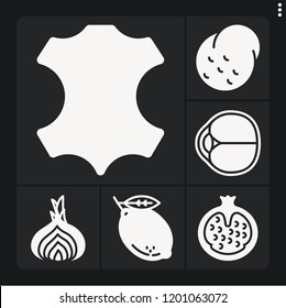 Set of 6 natural filled icons such as leather, eye, potato, shallot, pomegranate