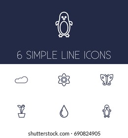 Set Of 6 Natural Outline Icons Set.Collection Of Flower, Penguin, Butterfly And Other Elements.