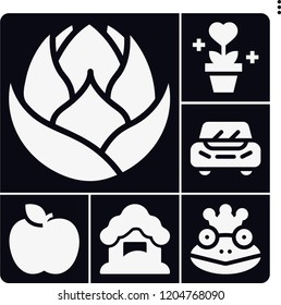 Set of 6 nature filled icons such as artichoke, car, snow fall, frog prince, apple