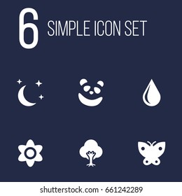 Set Of 6 Nature Icons Set.Collection Of Moth, Bear And Other Elements.