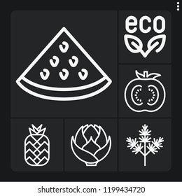 Set of 6 nature outline icons such as eco, watermelon, dill, artichoke, tomato