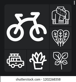 Set of 6 nature outline icons such as bike, plant, scarf, oregano, spinach