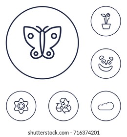 Set Of 6 Nature Outline Icons Set.Collection Of Cloud, Panda, Flower Elements.