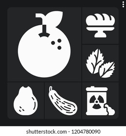 Set of 6 organic filled icons such as butternut squash, basil, avocado, waste, orange