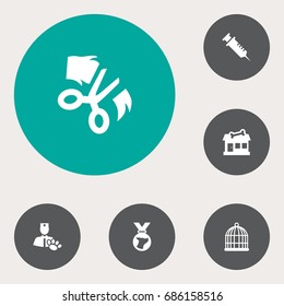 Set Of 6 Pets Icons Set.Collection Of Medallion, Store, Injection And Other Elements.