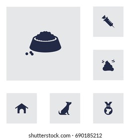 Set Of 6 Pets Icons Set.Collection Of Home, Dog, Medallion And Other Elements.