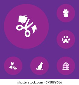 Set Of 6 Pets Icons Set.Collection Of Birdcage, Footprint, Sitting And Other Elements.