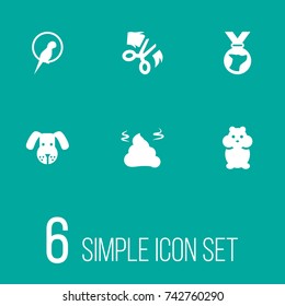 Set Of 6 Pets Icons Set.Collection Of Pile, Bird, Scissor And Other Elements.