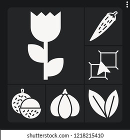 Set of 6 plant filled icons such as lychee, garlic, layers, mint, chili pepper