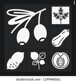 Set of 6 raw filled icons such as oregano, dill, potato, olive, peach