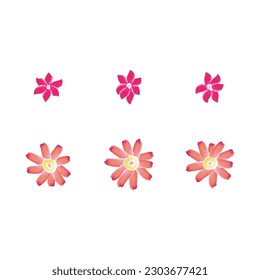 Set of 6 red and pink Watercolor flower illustration icons, simple beautiful composition of decorative elements, isolated on grey background, hand drawing.