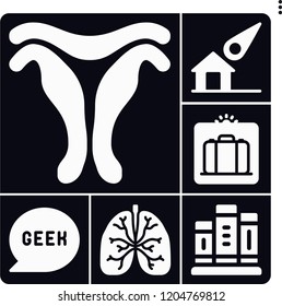 Set of 6 science filled icons such as uterus, lungs, meteorite, geek, scan