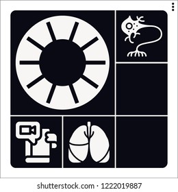 Set of 6 science filled icons such as neuron, bladder, lungs, r d, iron man