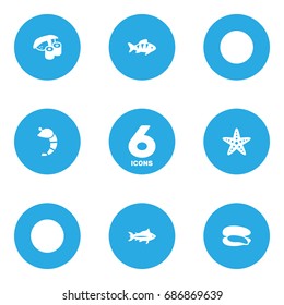 Set Of 6 Sea Icons Set.Collection Of Shell, Tunny, Crustaceans And Other Elements.