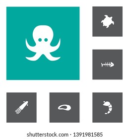 Set of 6 seafood icons set. Collection of bone, turtle, oyster and other elements.