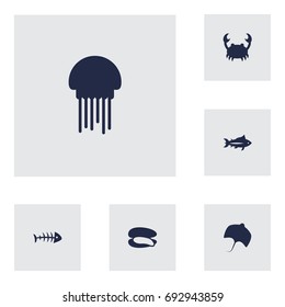 Set Of 6 Seafood Icons Set.Collection Of Shell, Medusa, Lobster And Other Elements.