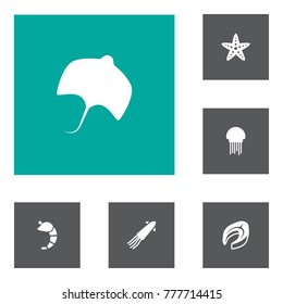 Set Of 6 Seafood Icons Set.Collection Of Calamary, Crustaceans, Medusa And Other Elements.