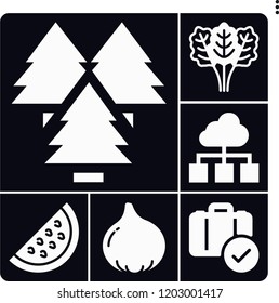 Set of 6 summer filled icons such as spinach, watermelon, fig, luggage, forest