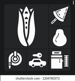 Set of 6 summer filled icons such as corn, popsicle, pear, water hose, rental
