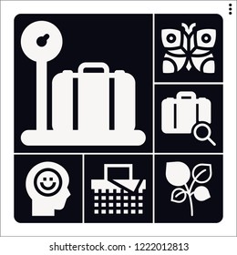 Set of 6 summer filled icons such as oregano, luggage, happiness, butterfly