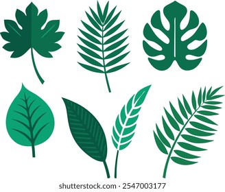 Um conjunto de 6 silhuetas vetoriais de Monstera e folhas tropicais em um estilo simples e minimalista. Esta coleção é ideal para projetos de verão, ilustrações da natureza, marca eco-friendly