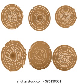 Set of 6 vector tree rings background and saw cut tree trunk. Cross section of tree trunk isolated on white background. Outline trees rings set