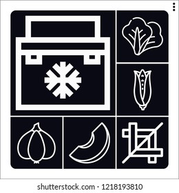 Set of 6 vegetable outline icons such as melon, corn, garlic, crop, fridge