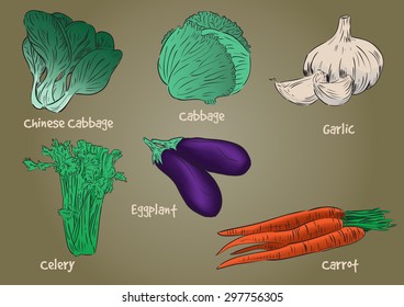 Set of 6 vegetables with color