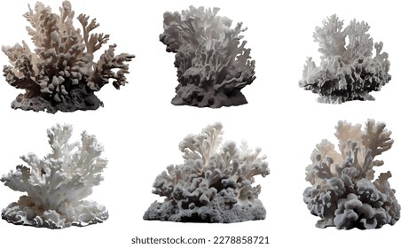 Set of 6 white corals vectors elements, alpha matte, photorealistic illustration