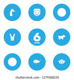 Set of 6 zoo icons set. Collection of owl, hippopotamus, lion and other elements.