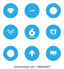 Set Of 6 Zoo Icons Set.Collection Of Ape, Trunked Animal, Bear And Other Elements.