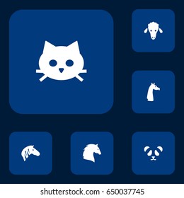 Set Of 6 Zoo Icons Set.Collection Of Camelopard, Bear, Steed And Other Elements.