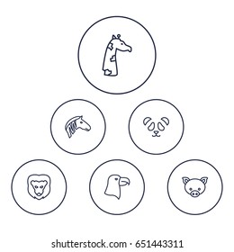 Set Of 6 Zoo Outline Icons Set.Collection Of Mammal, Giraffe, Eagle And Other Elements.