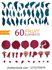 Set of 60 Pomegranate elements, flowers. seeds and leaves. Organic food vector. Hand drawn fruit style. Design for cosmetics, spa, pomegranate juice, health care products, perfume.
