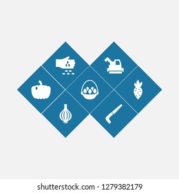 Set of 7 agriculture icons set. Collection of sow, handsaw, beet elements.