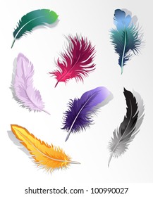 Set of 7 colorful feathers.