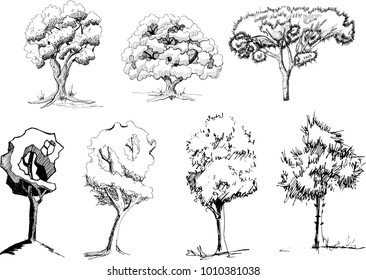 Tree On Outline Images, Stock Photos & Vectors | Shutterstock