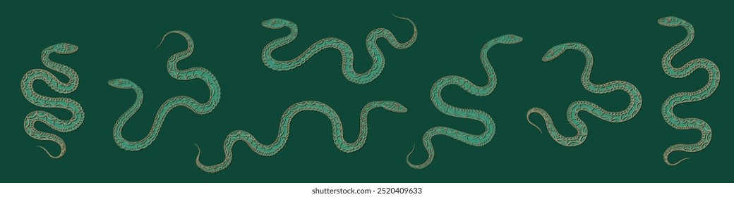 Set of 7 linear hand drawn green coiled snakes with intricate scale details with golden outline. Minimalist design of venomous mysterious reptiles as a decor element for posters, cards, t-shirts, etc.