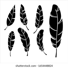 set of the 7 plume, pure vector