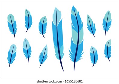 set of 7 vector feathers