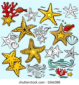 A set of 7 vector illustrations of star-fishes in color, and black and white renderings.