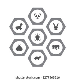 Set of 7 zoo icons set. Collection of seal, rabbit, panda elements.