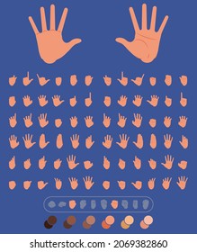 set of 72 hands in different positions. flat illustration of hands to use in animations, character illustrations or as an icon. with color palette for other ethnicities. eps 10