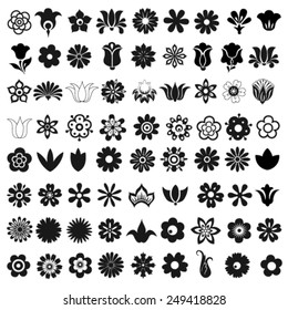 Set of 72 vector icons flowers