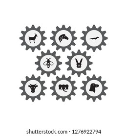 Set of 8 animal icons set. Collection of zebra, eagle, cow and other elements.